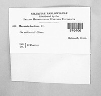 Image Associated With the Occurence